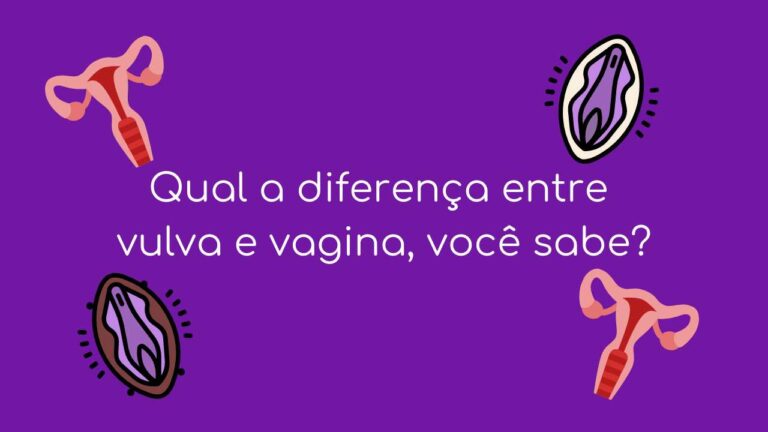 Entendendo as Distinções: Vulva versus Vagina!